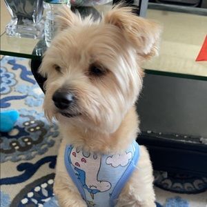 Meet your Posher, Pedro